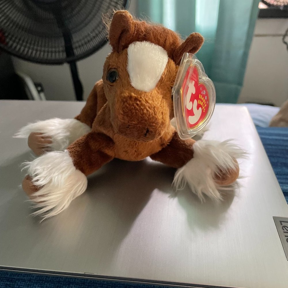 Hoofer Ty Beanie